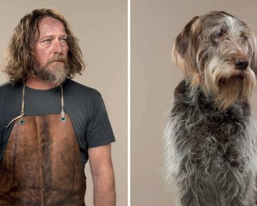 Photographer Puts Dogs And Their Owners Side By Side, And The Resemblance Is Uncanny