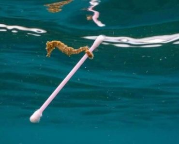 It’s Just One Straw, It’s Just One Disposable Cup, It’s Just One Plastic Bag – 7.4 Billion People!