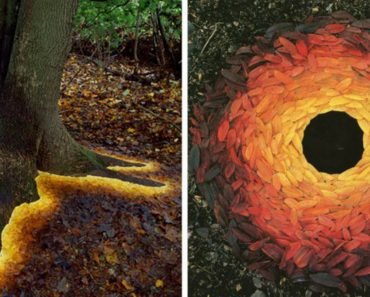 Man Arranges Leaves, Sticks, And Stones To Create Magical Land Artwork!