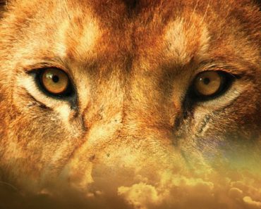 10 Things People Don’t Realize You Are Doing Because You Are An Alpha Personality