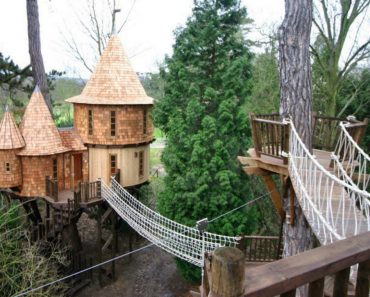 The Beautiful Tree House That Looks Like A Castle