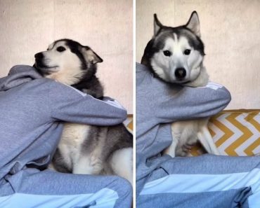 Hugging My Dogs For Too Long – Male Vs Female