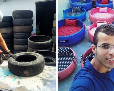 This Artist Takes Used Tires People Throw In The Streets And Creates Beds For Animals