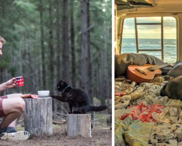 Guy Quits Job And Sold Everything He Owns Just To Travel With His Cat “Willow”