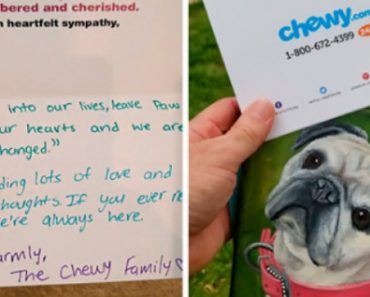Man Asks Chewy For A Refund On Dog Food After His Dog Passed Away, Gets An Oil Painting With A Message