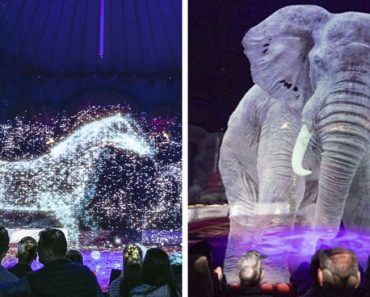 German Circus Start Using Holograms Instead Of Live Animals For A Cruelty-Free Magical Experience