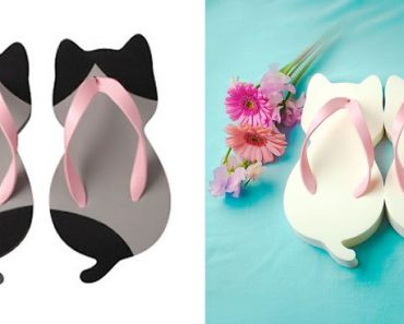 Japanese Company Creates Cat-Shaped Sandals That Looks Adorable