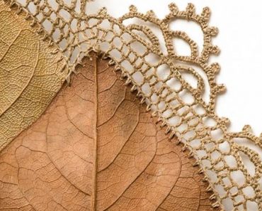 Crocheter Turn Dried Leaves Into Works Of Art