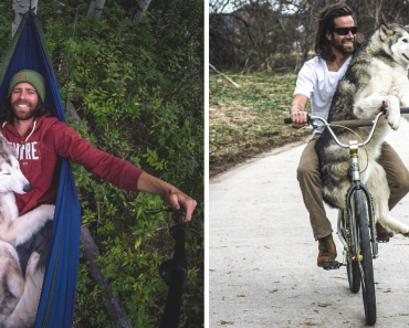 Guy Takes His Wolfdog On Adventures Because He Doesn’t Like To See Dogs Locked Away