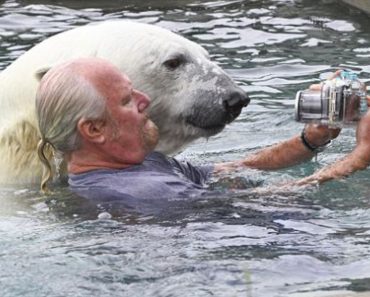 Man Swim Together With A White Bear He Has Been Friends With For More-than 2 Decades