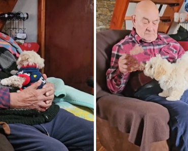 Granddaughter Gives Her Grandpa A Puppy, Sees His Remarkable Transformation