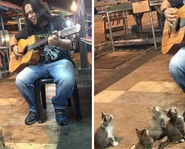 4 Music-Loving Kitties Come To Listen To Street Singer