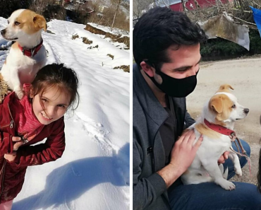Little Village Girl Braved The Snow To Find Her Pup A Vet